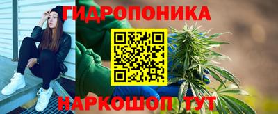 первитин Новозыбков