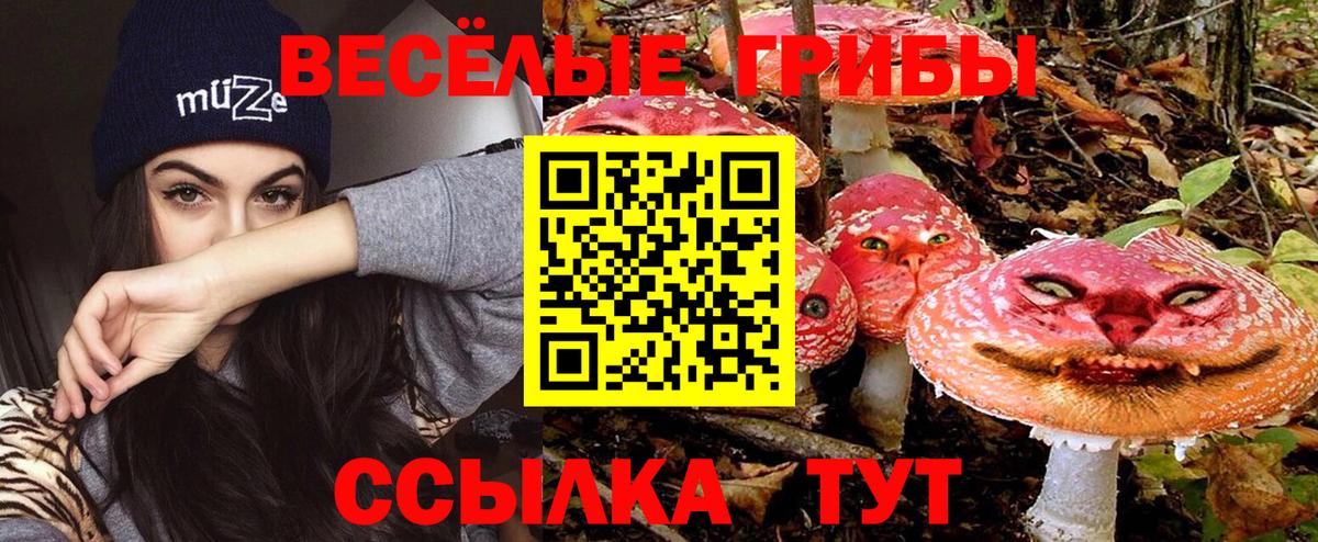 Рубцовск  Псилоцибиновые грибы прущие грибы  Вход с VPN  Галлюциногенные грибы Cubensis 